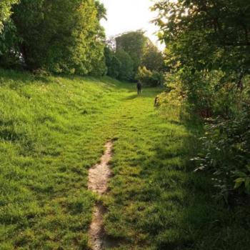 Сдается Комната, 19 м²