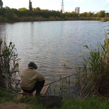 Сдается Комната, 19 м²