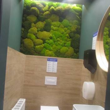 Сдается Нежилое помещение, 272,6 м²