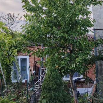 Продается Дом, 80 м²