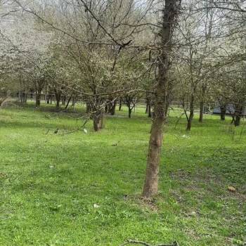 Продается Участок, 800 м²