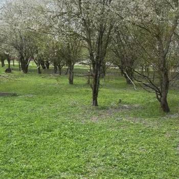 Продается Участок, 800 м²