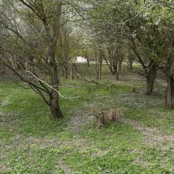 Продается Участок, 800 м²