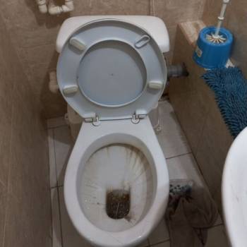 Сдается 1-комнатная квартира, 17 м²