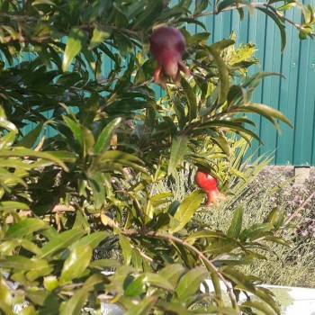 Продается Участок, 400 м²