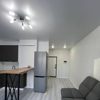 Сдается 1-комнатная квартира, 27,5 м²