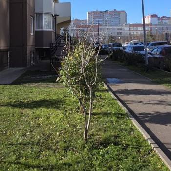 Сдается Нежилое помещение, 50 м²