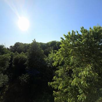 Сдается 2-х комнатная квартира, 40,2 м²