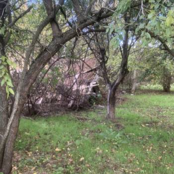 Продается Дом, 25 м²