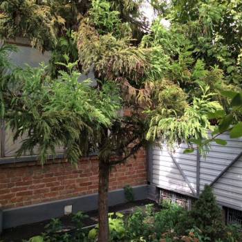 Сдается Дом, 90 м²