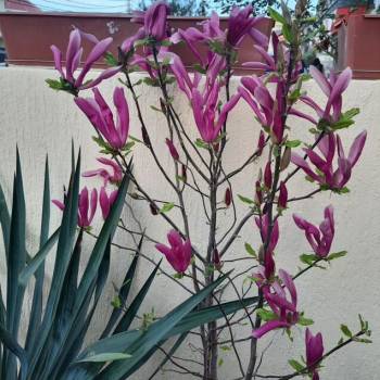 Продается 2-х комнатная квартира, 49 м²