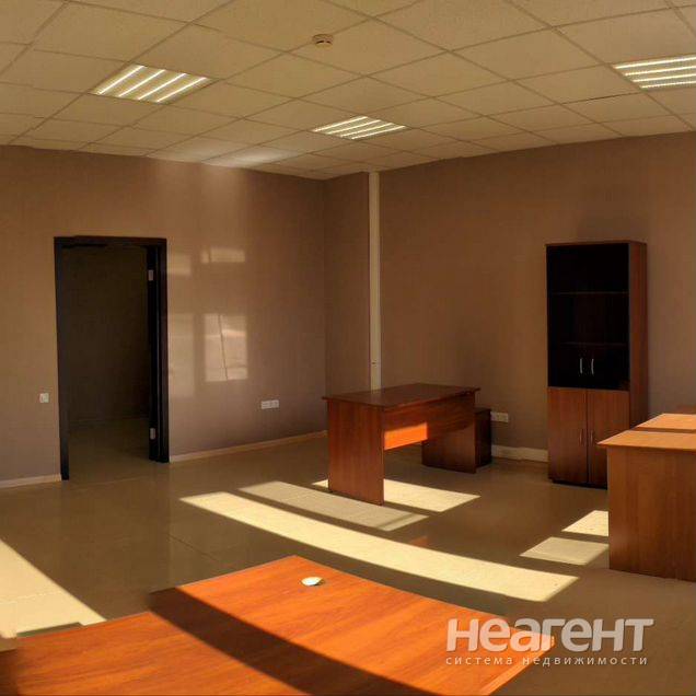 Фотография №3