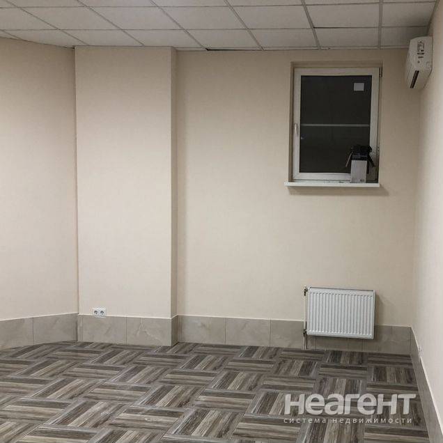 Фотография №3