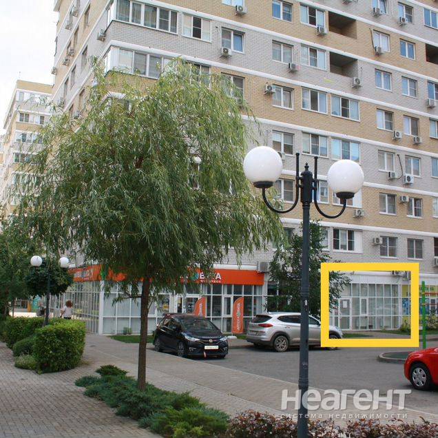 Фотография №2