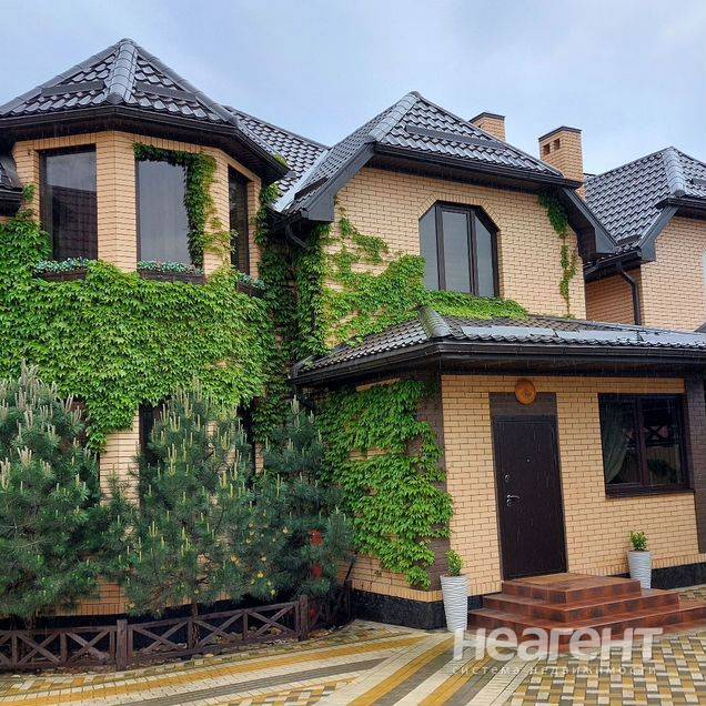 Фотография №3