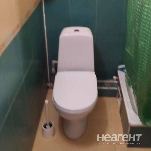 Фотография №3