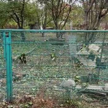 Продается Участок, 400 м²