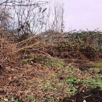 Продается Участок, 740 м²