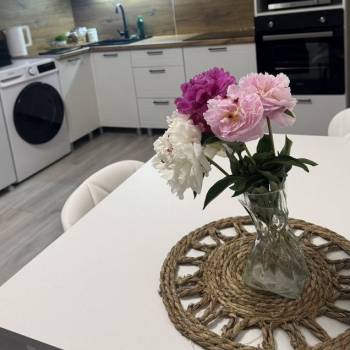 Сдается 1-комнатная квартира, 47 м²