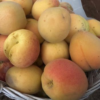 Продается Дом, 145 м²