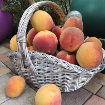 Продается Дом, 145 м²