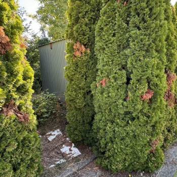 Продается Участок, 600 м²