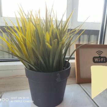 Сдается 2-х комнатная квартира, 52,5 м²