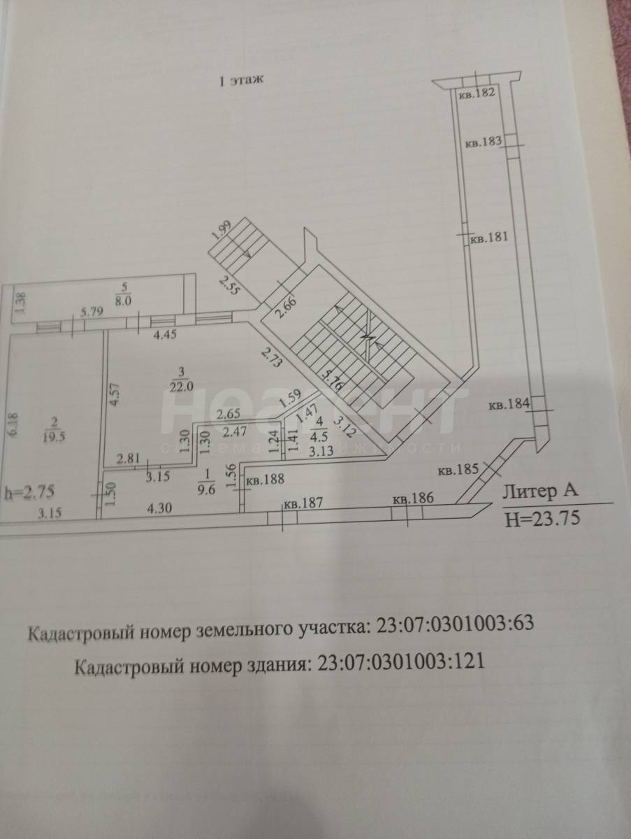 Фотография №3