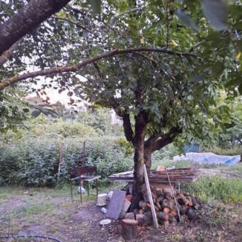 Продается Участок, 1000 м²