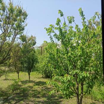 Продается Дом, 92 м²