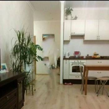 Сдается 1-комнатная квартира, 52 м²