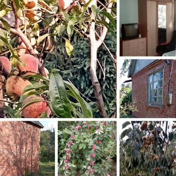 Продается Дом, 20 м²