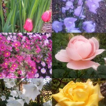 Продается Дом, 20 м²