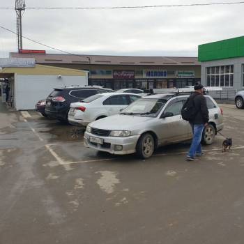 Сдается Торговое помещение, 48 м²