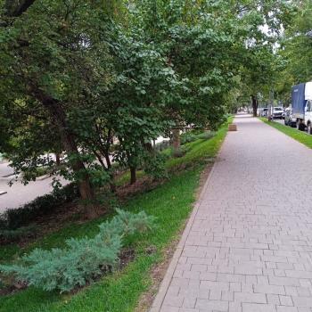 Сдается 2-х комнатная квартира, 46 м²