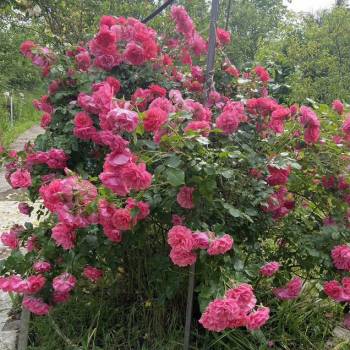 Продается Дом, 35 м²