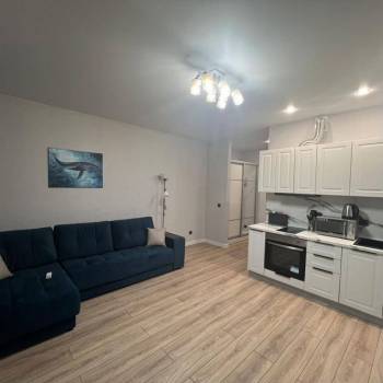 Сдается 1-комнатная квартира, 29,9 м²