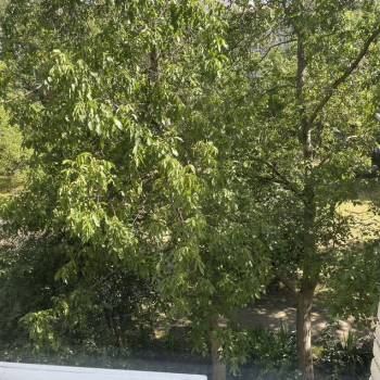 Продается 3-х комнатная квартира, 57,7 м²