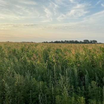 Продается Участок, 600 м²