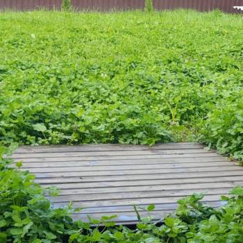 Продается Участок, 610 м²