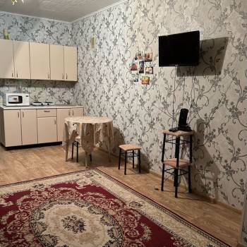 Продается 1-комнатная квартира, 23,9 м²