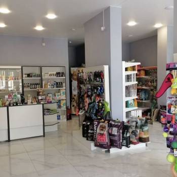 Сдается Нежилое помещение, 55,5 м²