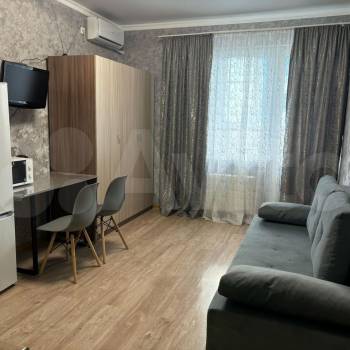 Сдается 1-комнатная квартира, 24,1 м²
