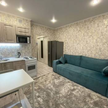 Сдается 1-комнатная квартира, 24 м²