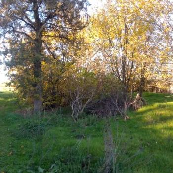 Продается Участок, 2700 м²