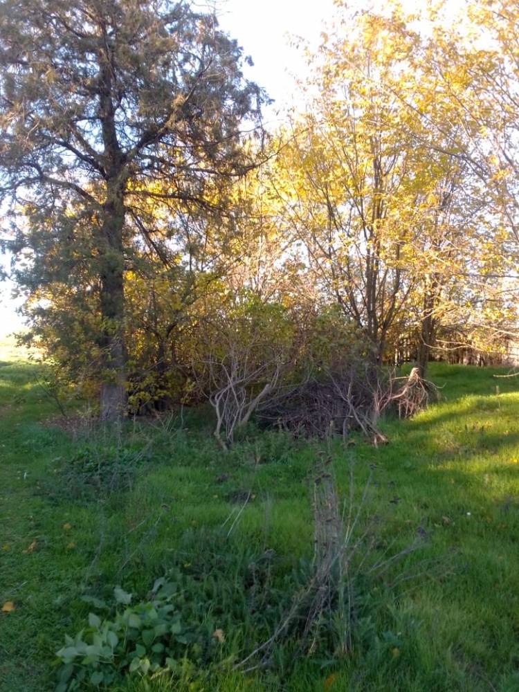 Фотография №2