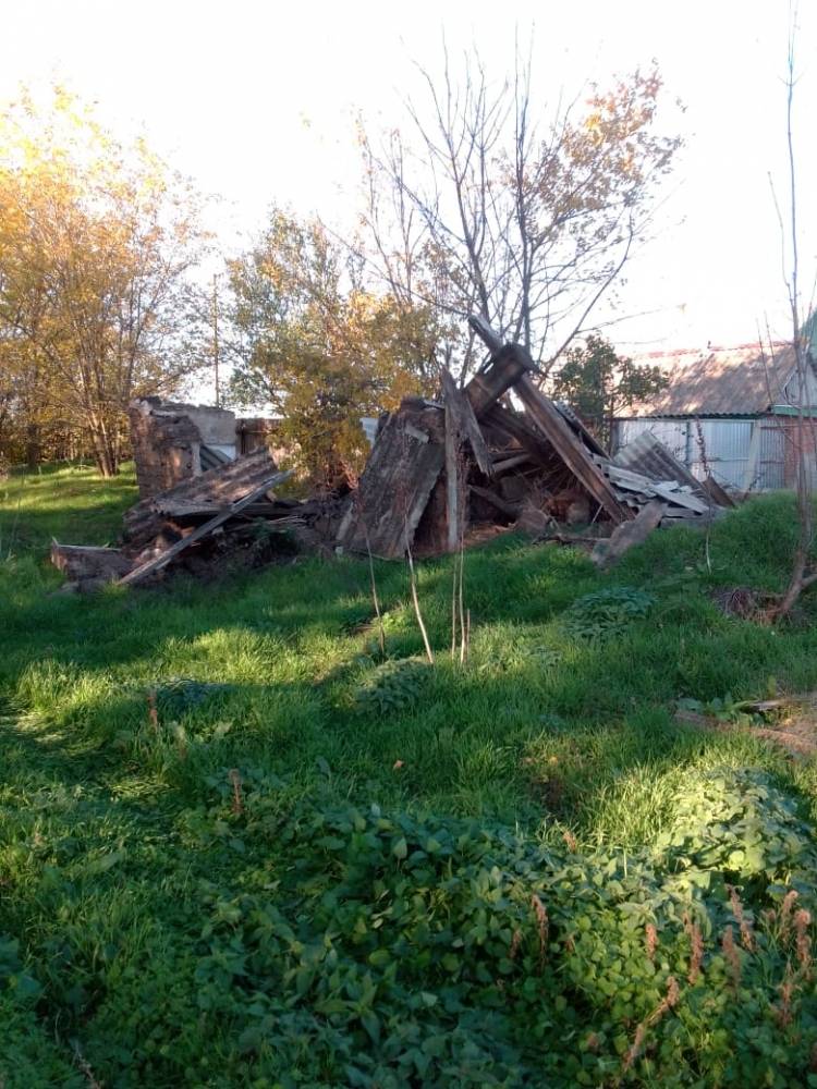 Фотография №3