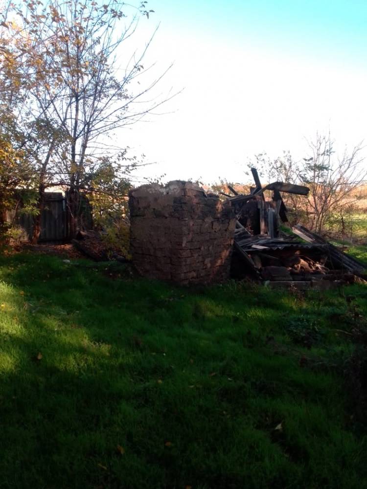 Фотография №4