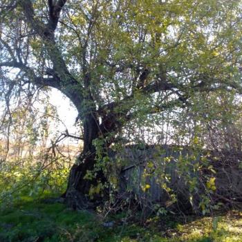 Продается Участок, 2700 м²