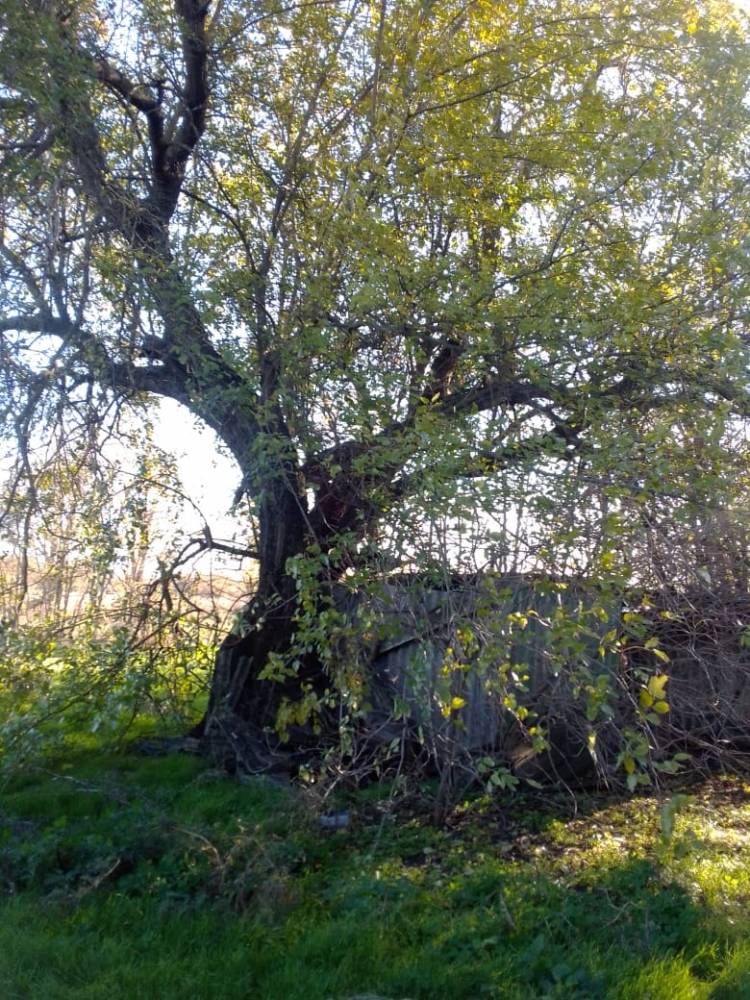 Фотография №5